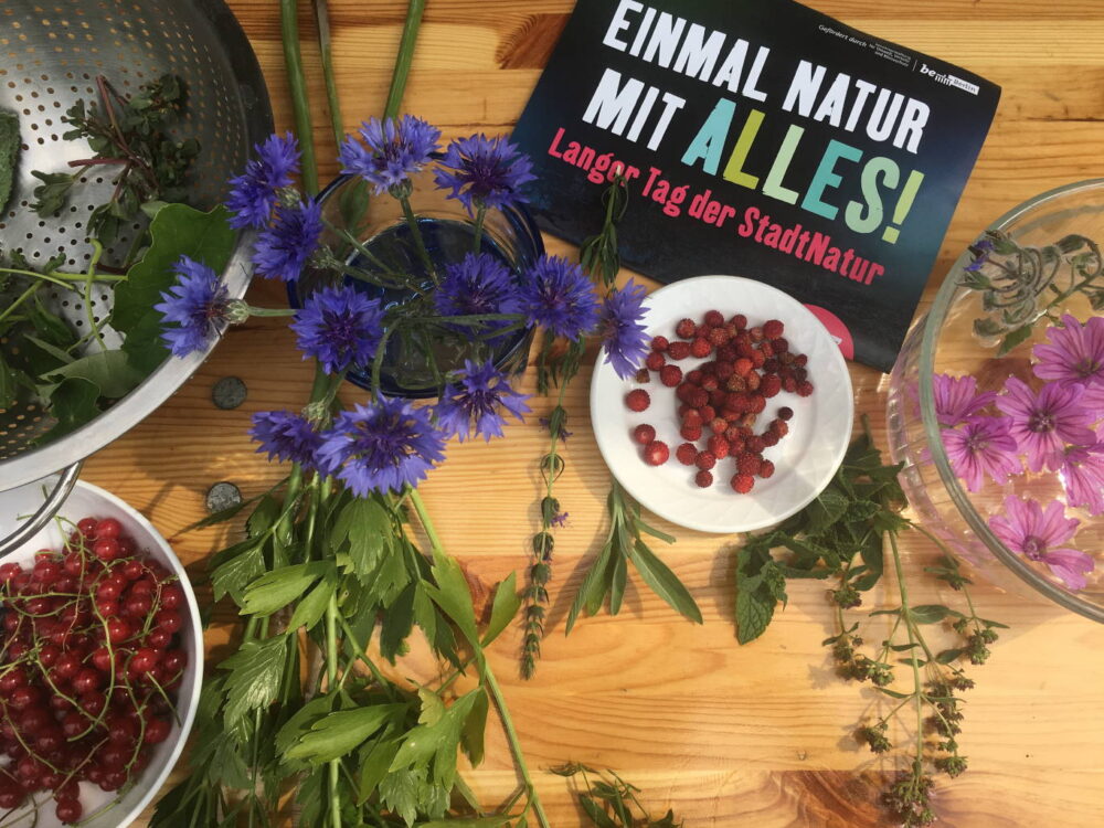 Botanischer-Garten-4