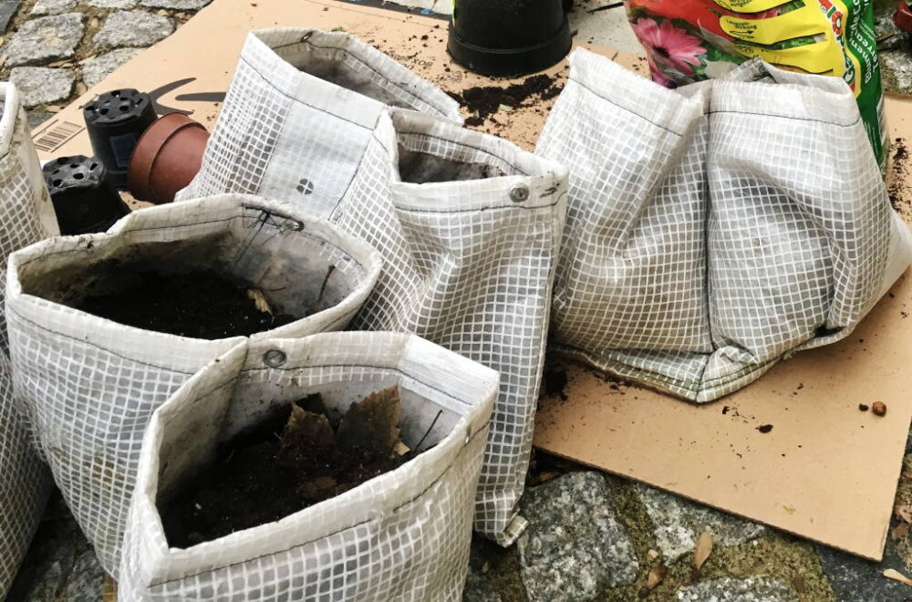 Der hängende Garten-4