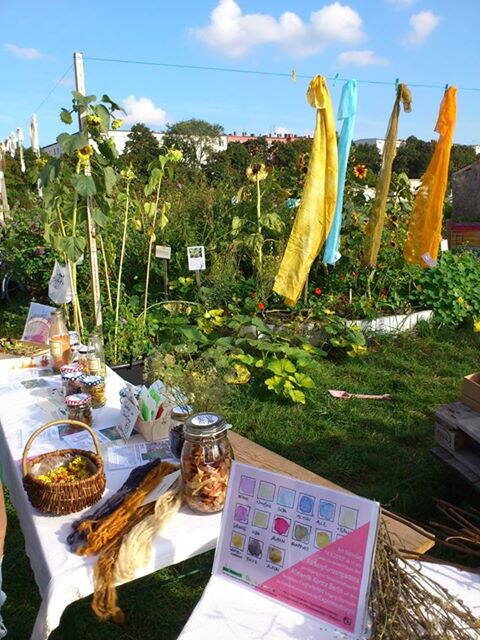 Garten im Tempelhofer Feld