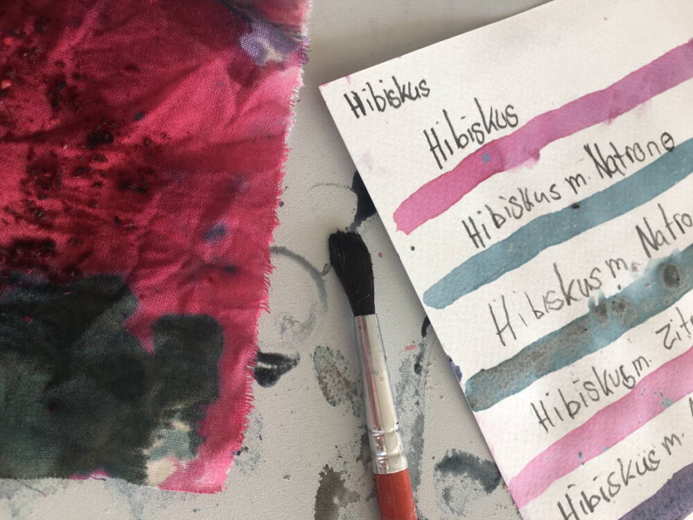 Malen mit Hibiskus