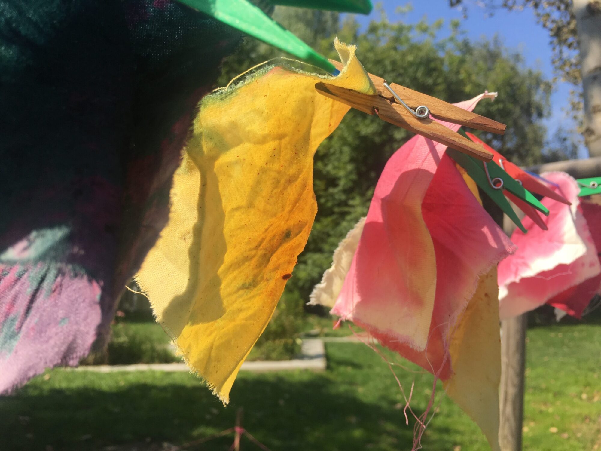 sevengardens Zertifikatskurs