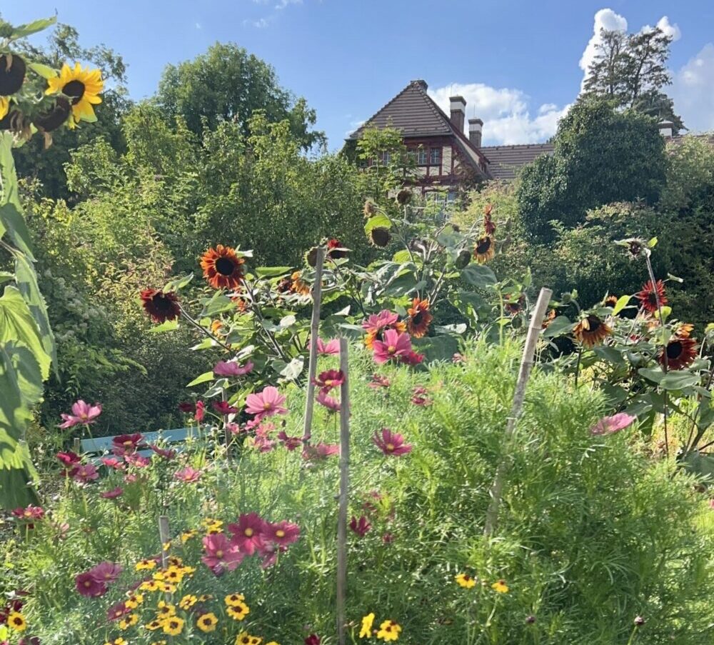 Zertifikatskurs sevengardens