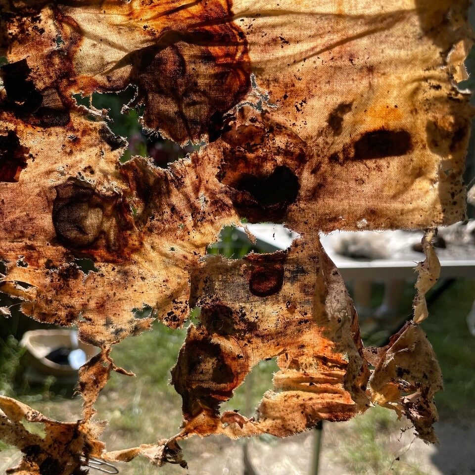 Experiment Earth Dye